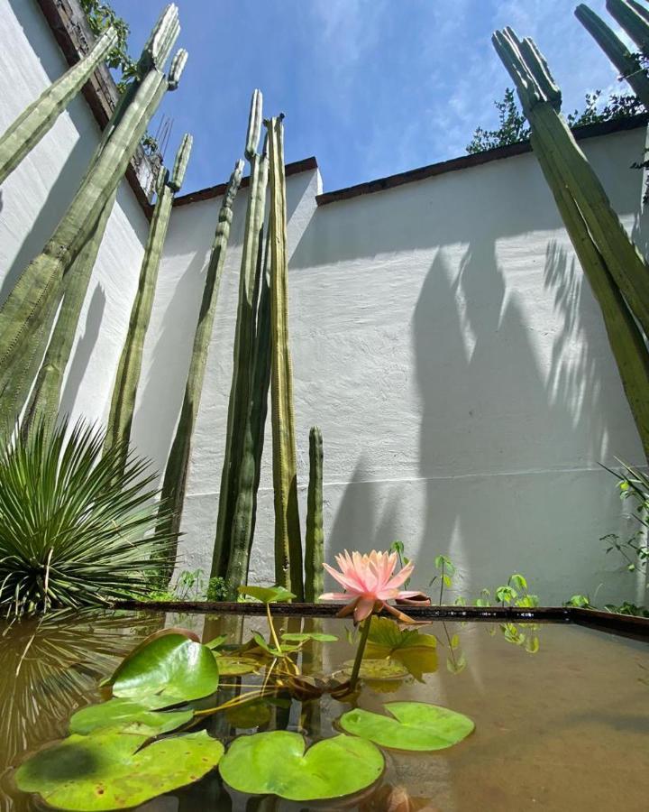 Casa Mayo B&B Oaxaca Buitenkant foto