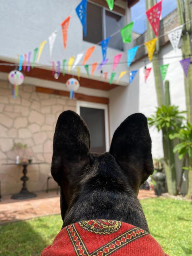 Casa Mayo B&B Oaxaca Buitenkant foto